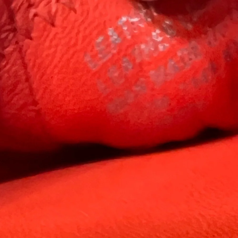 Tory Burch Eddie flat ballet Packable flats sz 7.5 nwot - Picture 14 of 15